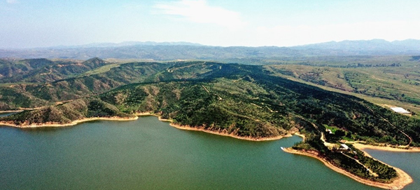 “绿色未来，你我共创”<br>Honda在华关联企业联合植树13年，万亩荒漠添新绿