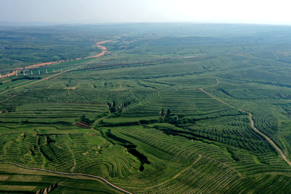 “绿色未来，你我共创”<br>2021年Honda在华关联企业开展联合植树活动