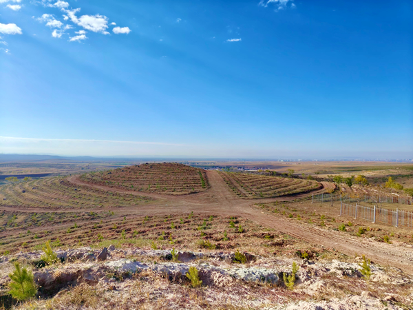 Honda在华企业联合植树造林工程再增1000亩