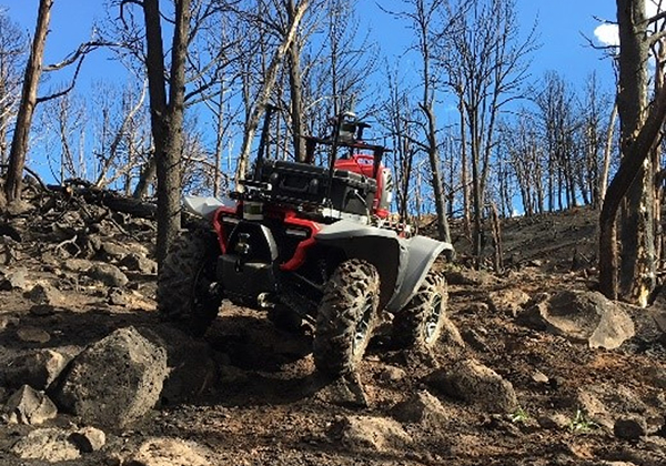 Honda参展“CES 2019”
