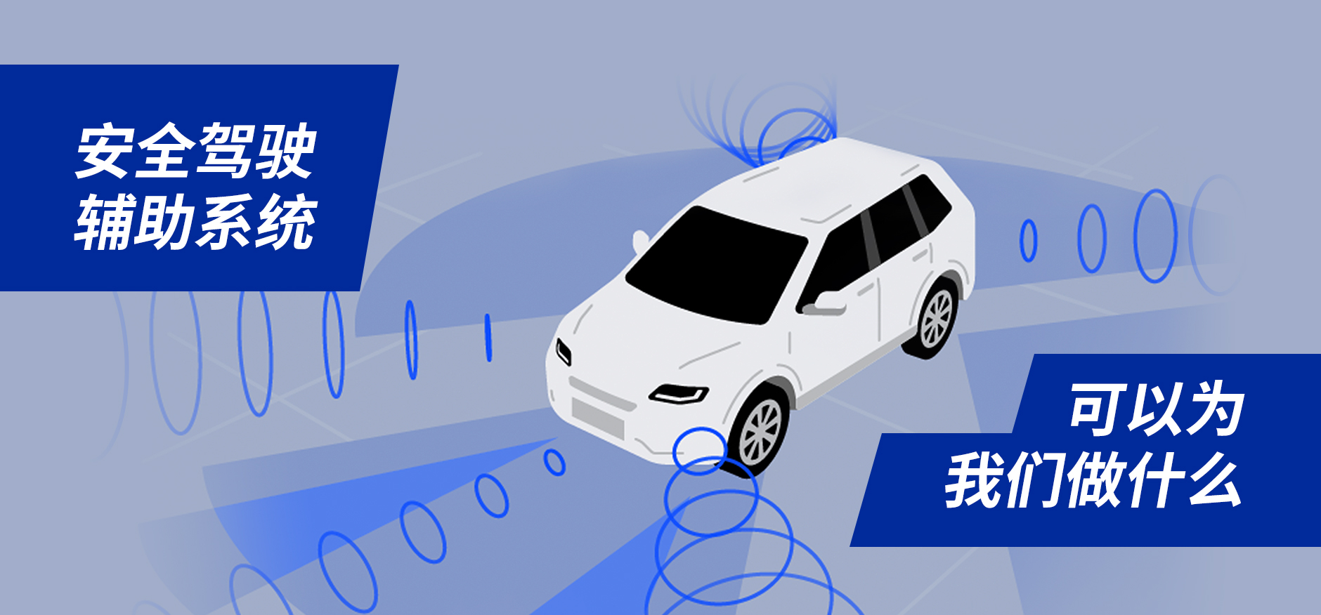 汽车的“眼睛”在看什么？像斑马一样的“宽广”的视野实现了安全驾驶辅助功能