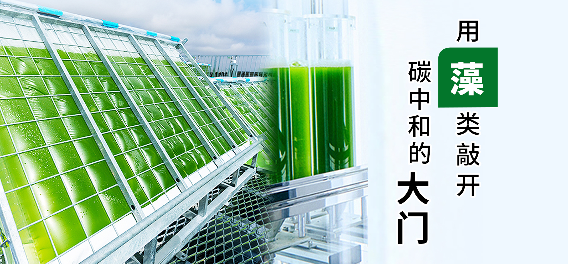 揭开Honda“藻类”的可能性！碳中和之路不只是实现电动化