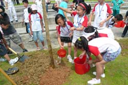 四川德阳中、小学生参观五羊—本田和广州本田-在五羊本田植树
