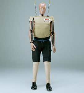 可评价腰部、大腿部伤害等级的第三代行人假人开始用于碰撞试验